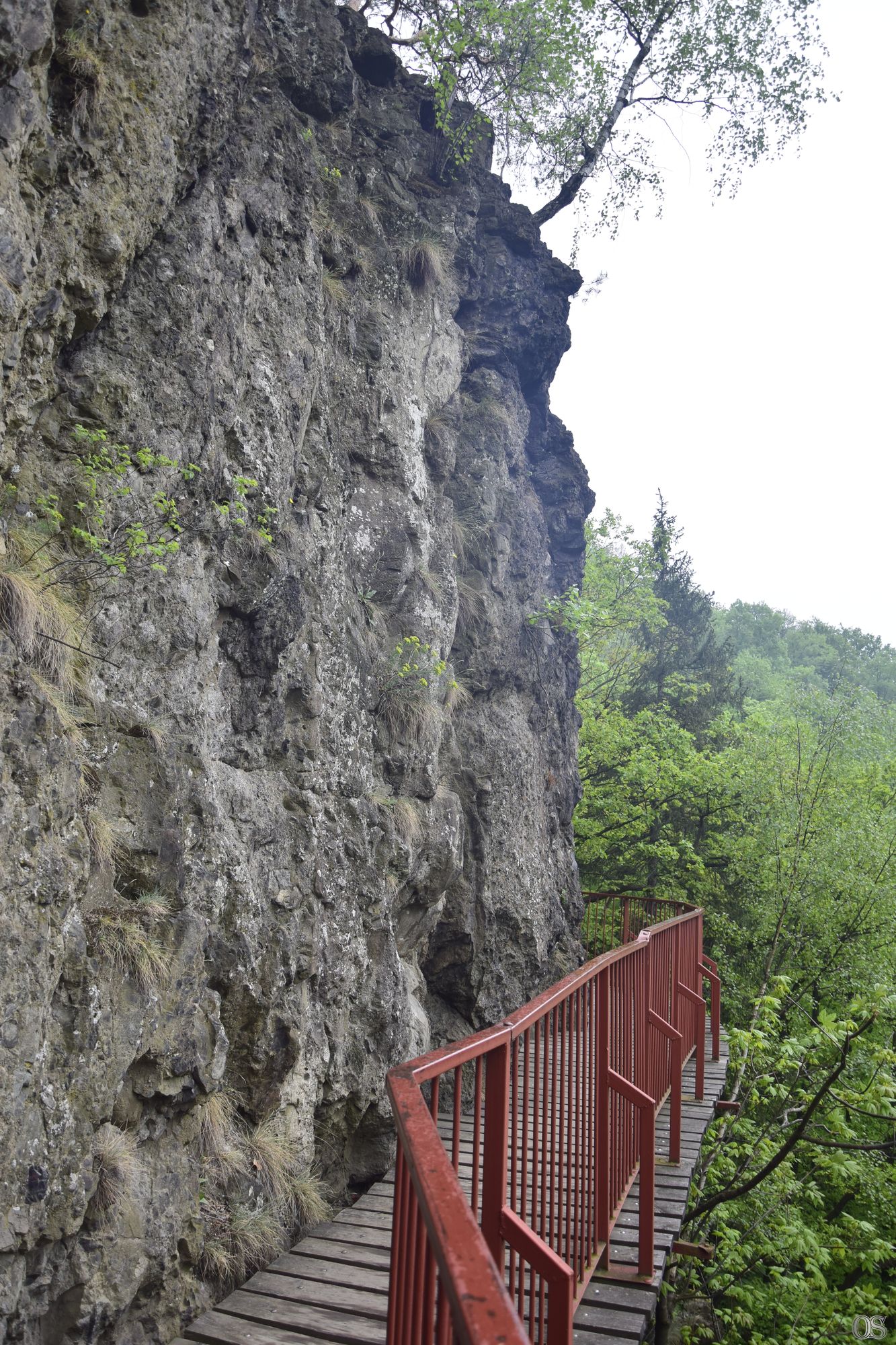 Sciezka Hochbergow 66.jpg